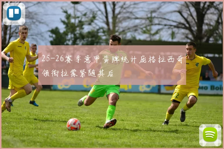 25-26赛季意甲黄牌统计庞格拉西奇领衔拉蒙紧随其后