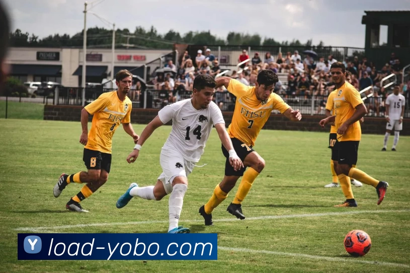 友博体育服务体系